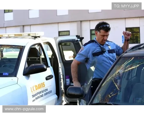 如何正确访问pgsoft官网的网址确保安全与稳定