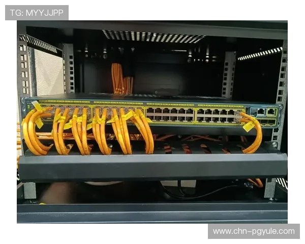 新手必看：pg网站注册流程详解与常见问题解答