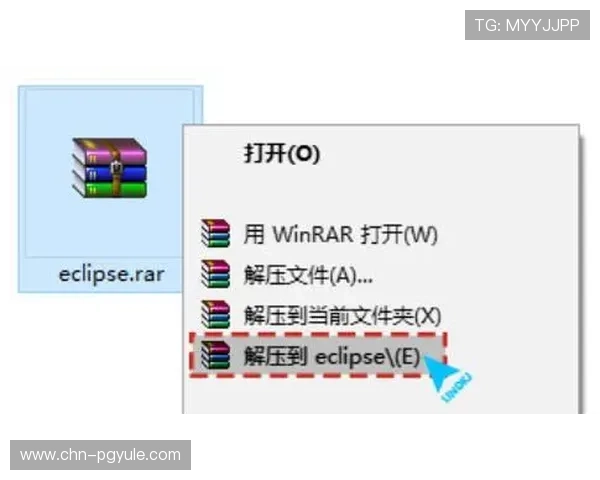 pgfnet官网提供的软件下载指南与安装教程详细解析