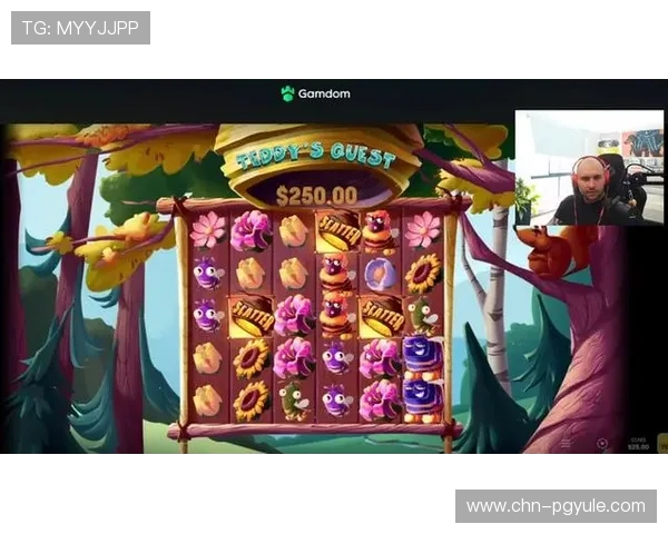 PG国际电子游戏app官方正版，保障玩家权益的优质游戏平台推荐