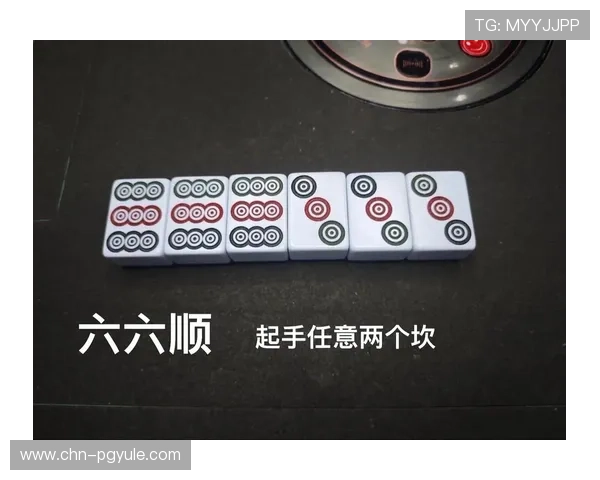 麻将胡了苹果版适合新手的入门指南，快速掌握胡牌技巧与规则